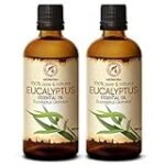 Los beneficios del aceite de eucalipto: Análisis y comparativa de los mejores productos en el mercado