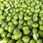 Análisis de las propiedades de aceitunas verdes y su influencia en la calidad de los mejores productos de aceite