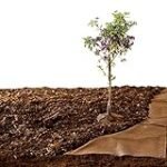 Zaleo: El aceite superior que reinará en tu cocina - Análisis y comparación de los mejores productos Zaleo: El aceite superior que reinará en tu cocina - Análisis y comparación de los mejores productos