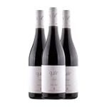 Verónica Ortega Vinos: Maridaje perfecto con los mejores aceites del mercado