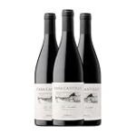 Análisis enológico: Maridaje perfecto entre los vinos de Casa Castillo y los mejores aceites