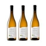 Análisis de los mejores aceites de la bodega Las Moradas: calidad y sabor inigualables