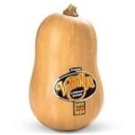 Los mejores aceites para realzar el sabor de tus deliciosos canelones de calabaza: Guía de compra y comparativa