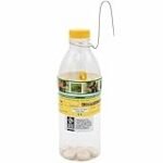 Análisis de los mejores aceites elaborados con olivas, la fruta de oro