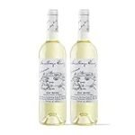 Análisis de aceites: Reseñas de la bodega de Santiago que debes conocer