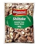 ¿Cuándo es la mejor temporada para recolectar setas y disfrutarlas con el mejor aceite? Descúbrelo aquí