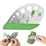 Los beneficios de la albahaca en aceites: Guía de uso y comparativa de los mejores productos