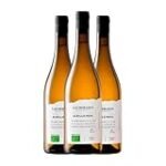 Top 5 aceites gourmet recomendados por Vinatería Albillo: Análisis y comparativa detallada