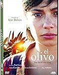 Descubre la excelencia del aceite de El Olivo Ibiza: Análisis y comparativa de los mejores productos