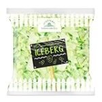 Análisis de los mejores aceites para realzar el sabor de tu ensalada templada de lechuga